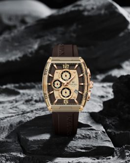 Montre pour Homme Naviforce NF6101 Marron